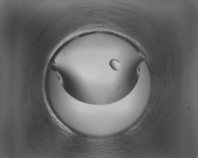 X0000082931518200702222206