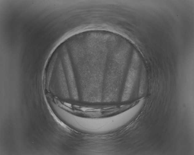 X0000082931519200702222206