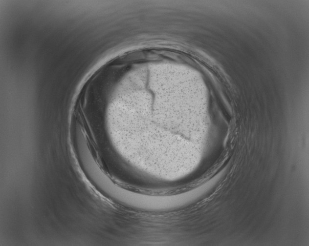 X0000082931520200702222206