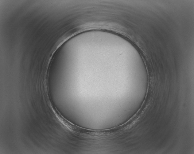 X0000082931521200702222206