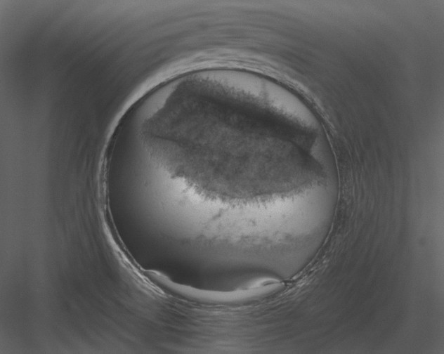 X0000082931522200702222206