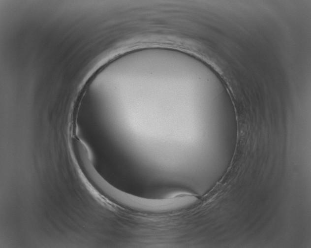 X0000082931523200702222206