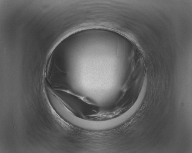 X0000082931524200702222206