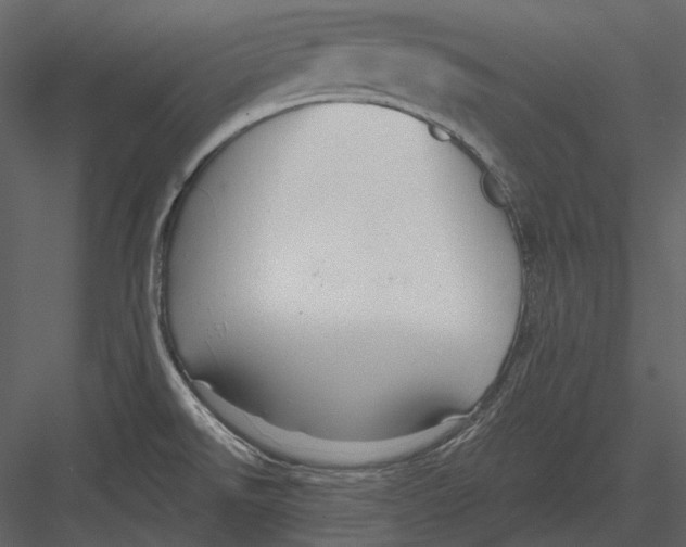 X0000082931526200702222206