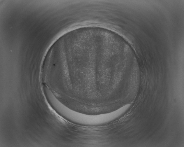 X0000082931527200702222206