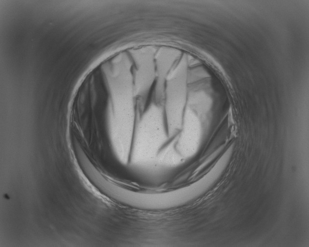 X0000082931528200702222206