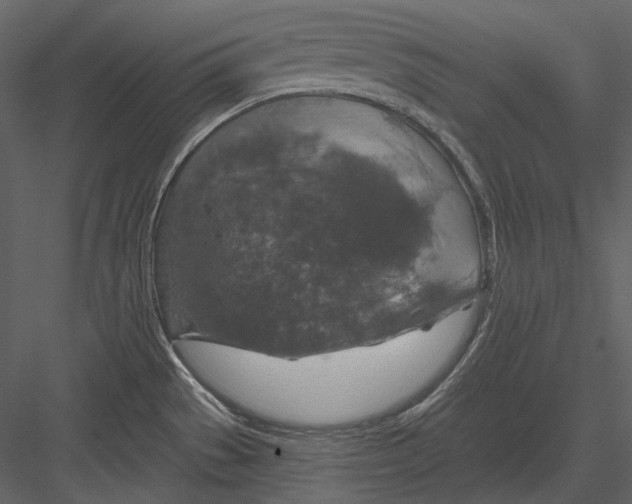 X0000082931529200702222206