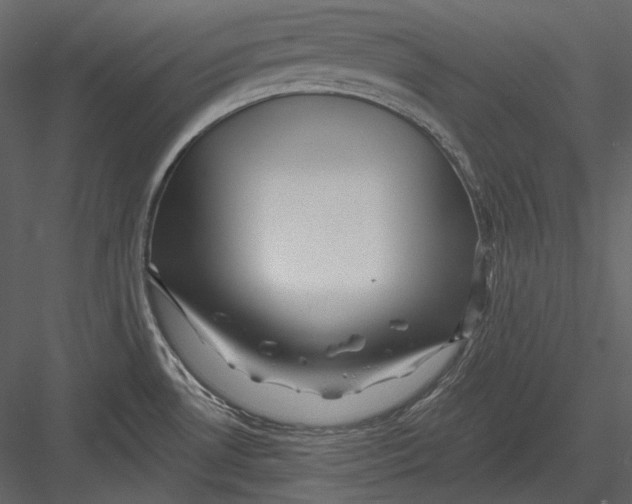 X0000082931530200702222206