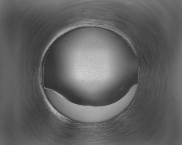 X0000082931531200702222206