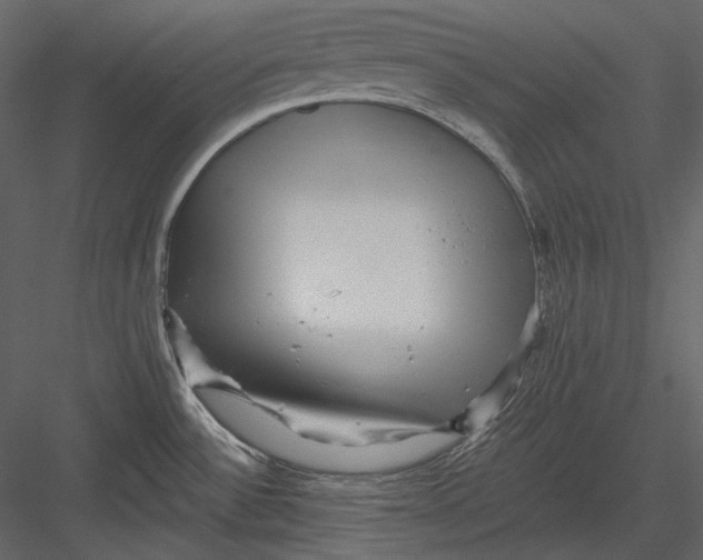 X0000082931532200702222206