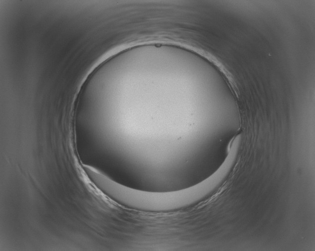 X0000082931534200702222206