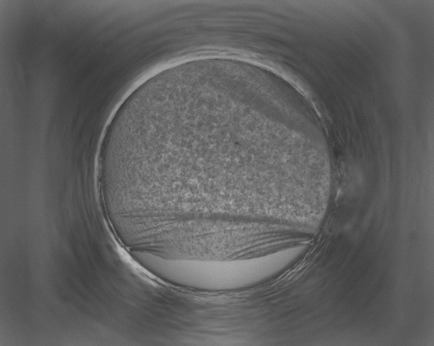 X0000082931535200702222206