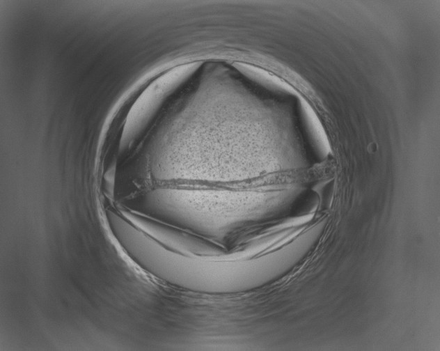 X0000082931536200702222206