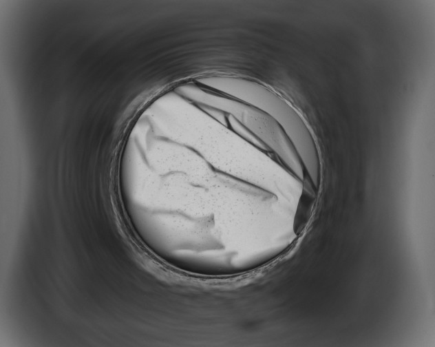 X0000082930001200703020115