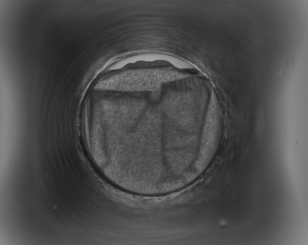 X0000082930002200703020115