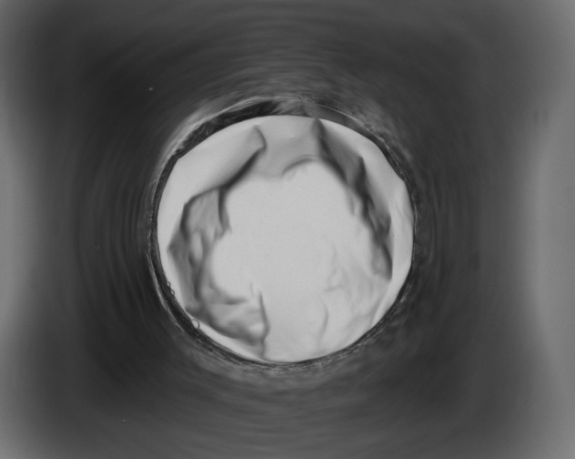 X0000082930003200703020115