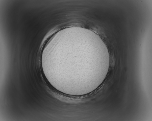 X0000082930004200703020115