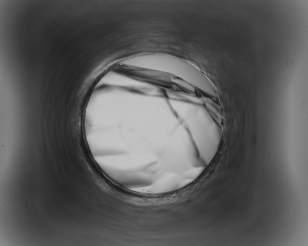 X0000082930005200703020115