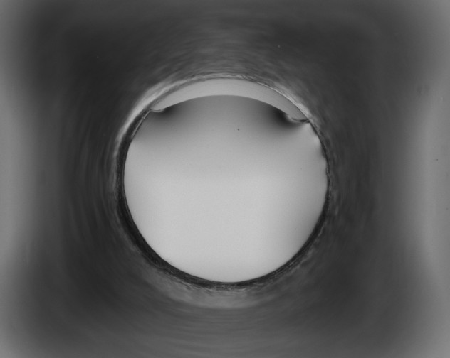 X0000082930008200703020115