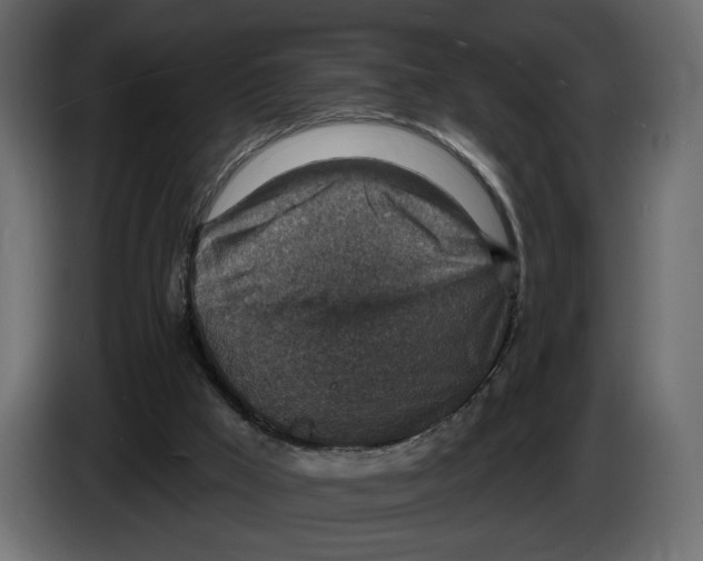 X0000082930009200703020115