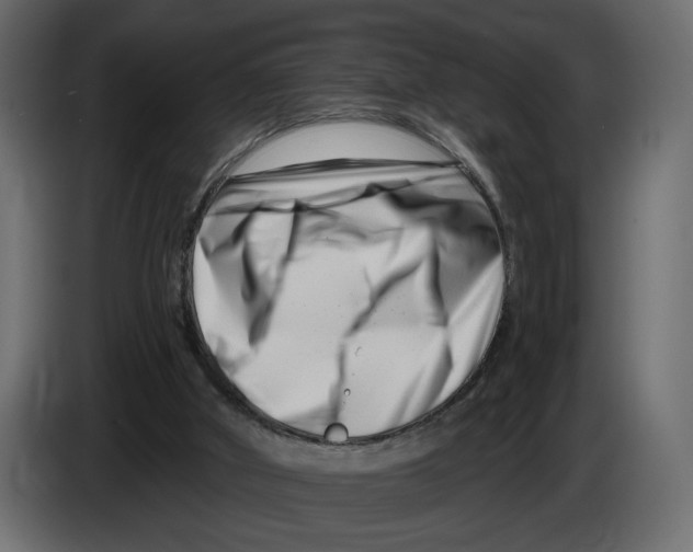 X0000082930010200703020115