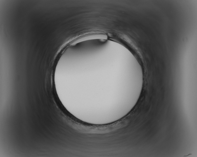 X0000082930011200703020115