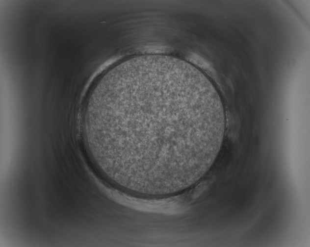 X0000082930012200703020115