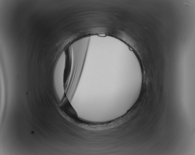 X0000082930013200703020115