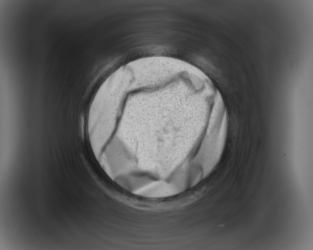 X0000082930014200703020115