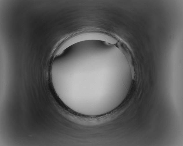 X0000082930015200703020115
