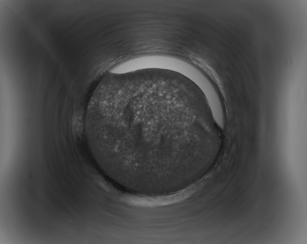 X0000082930017200703020115
