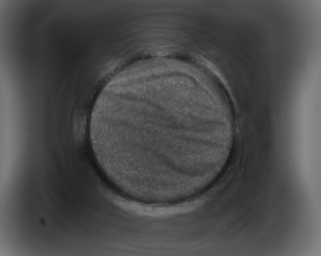 X0000082930018200703020115