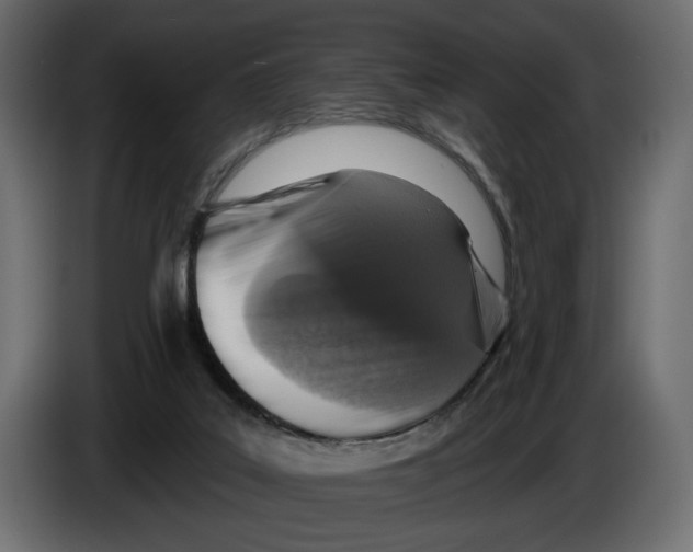 X0000082930019200703020115