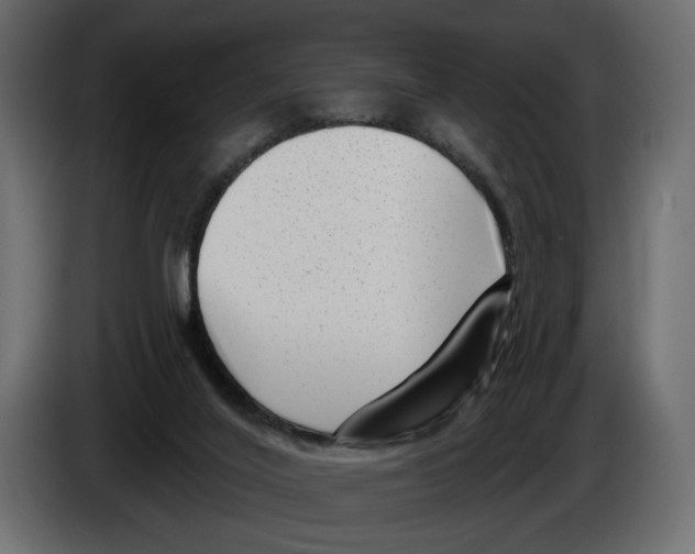 X0000082930020200703020115