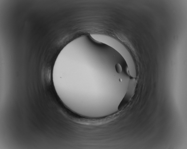 X0000082930021200703020115