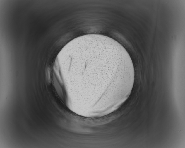X0000082930022200703020115