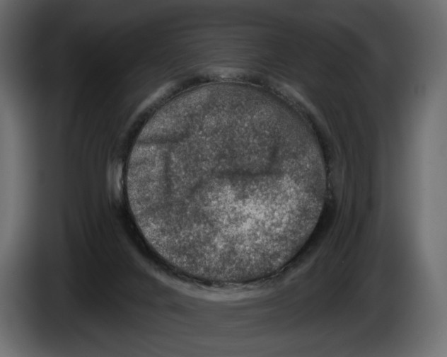 X0000082930024200703020115