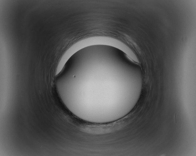 X0000082930025200703020115