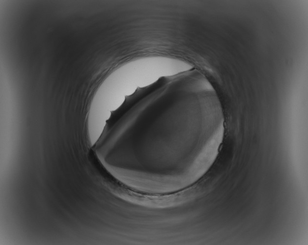X0000082930027200703020115
