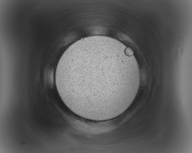 X0000082930028200703020115