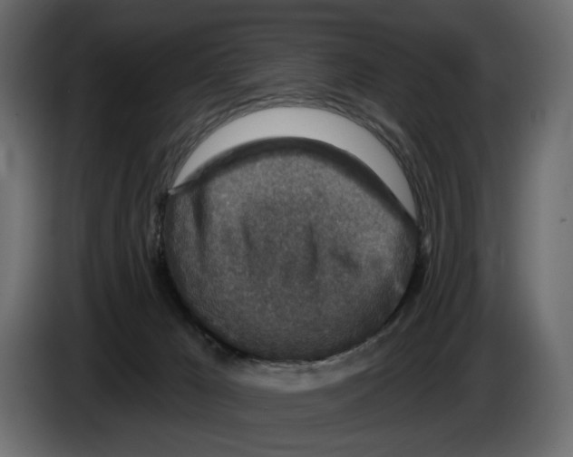 X0000082930029200703020115
