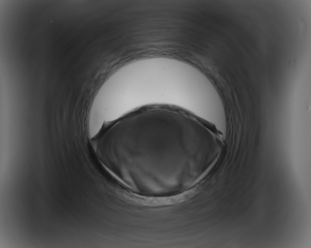 X0000082930031200703020115