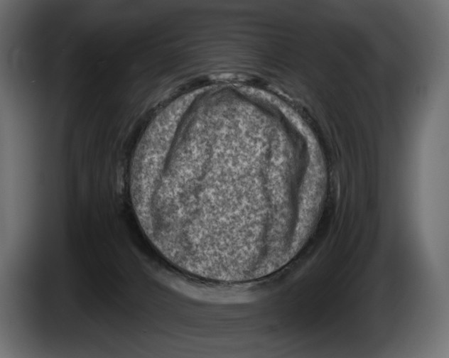 X0000082930032200703020115