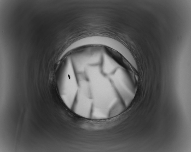 X0000082930033200703020115