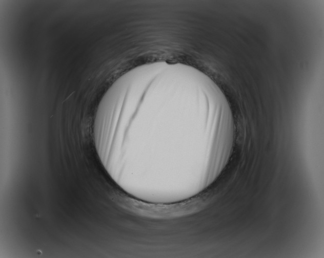 X0000082930034200703020115