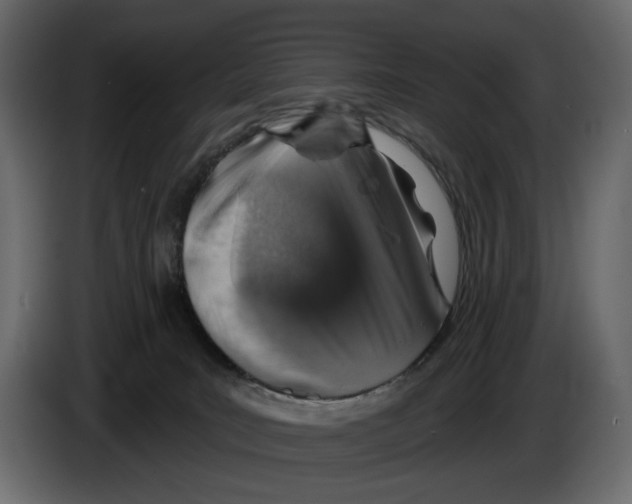X0000082930035200703020115