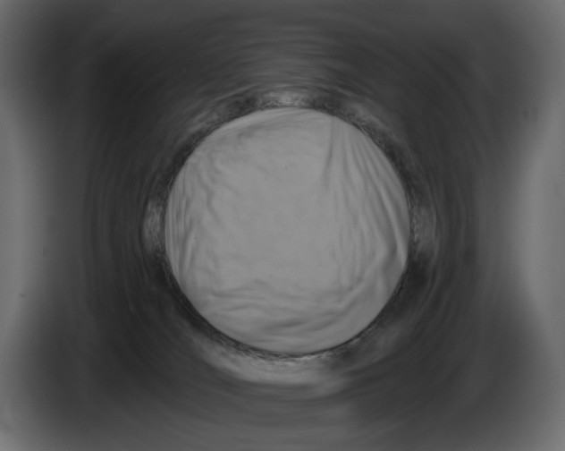 X0000082930036200703020115