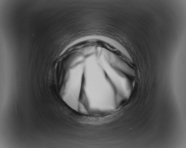 X0000082930037200703020115