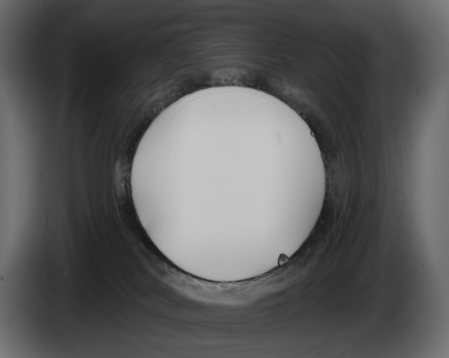 X0000082930038200703020115