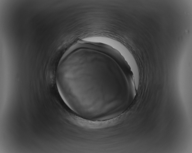 X0000082930039200703020115